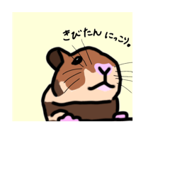 イヴ＆きび(ゴールデンとジャンガリアン)