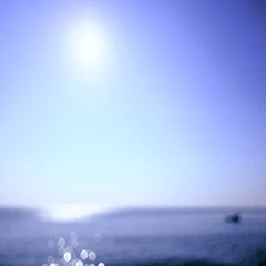 Japanese Landscape Healing