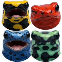 色んなヤドクガエル　実写