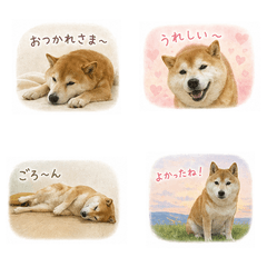 Fluffy Maro Daily Life