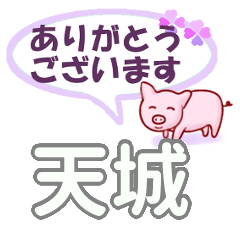 天城「あまぎ」さん専用。日常会話