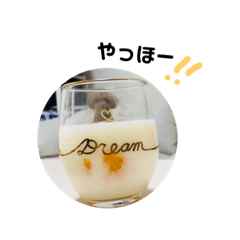 トイプードル＊蒼空(そら)＊5