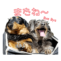 オハナちゃんと空ちゃん