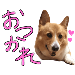 ルーくんスタンプ(挨拶)