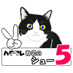 ハチワレねこのシュー5