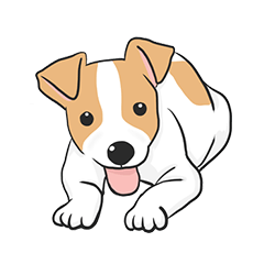 HI !!Jack Russell Terrier