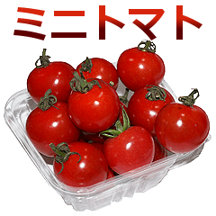 実写！ミニトマト