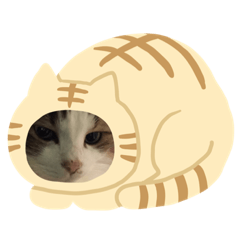 モコサンタマリア