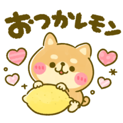 使えるダジャレ♡豆柴日和