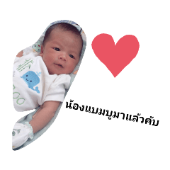 bamboo_20200108203524