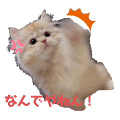 うちのねこ うにとろスタンプ