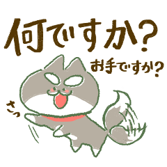 全力ちゅうけん‼