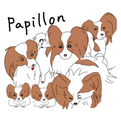 パピヨン de スタンプ