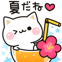 気づかいのできるネコ♪夏・梅雨編