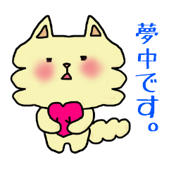 ふわねこさん！