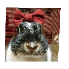 海たんと千秋くんの写真スタンプ