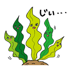 ゆかいな海の仲間たち