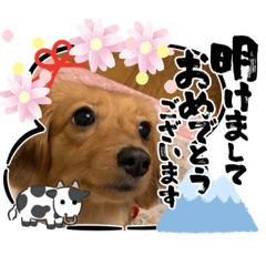 ららちゃんスタンプ5