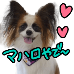 おとぼけパピヨンの使える関西弁スタンプ