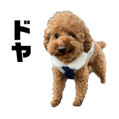 おす！おら、レア！2