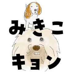 ビーグルミキコとキョン兄さん2