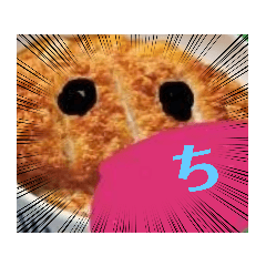 白カツくんとひらがなVol.2