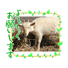 やよいアルバムパ-ト2