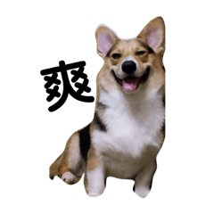 Grace_20210930070944