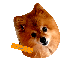 コロコロコロン