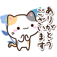 小さい三毛猫☆冬２