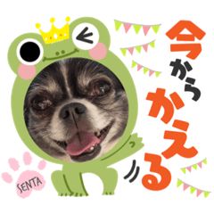 センタ君のスマイルスタンプ