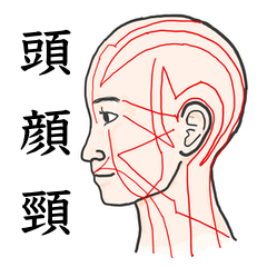 鍼灸師用！頭部、顔、頸のLINEスタンプ