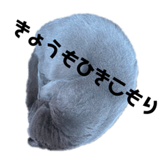 エビフライ食べたい