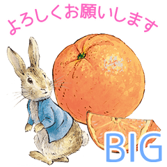 ピーターラビット フルーツ&ベジタブル Big