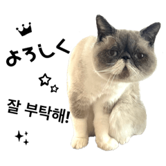 ぼくはZippy part 3