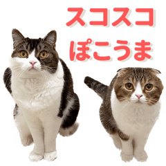 スコスコぽこ太郎＆うま次郎スタンプ