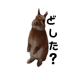 サトウのちくわ