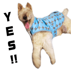 おじいワンMAX！２