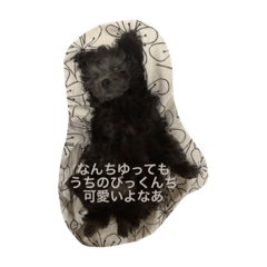 大分弁やけん！