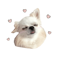 ロコのきもち③