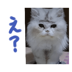 感情豊かな「ちびたん」のスタンプ 2