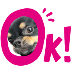 わんずすたんぷ11