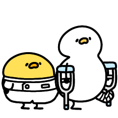 へんてこなヒヨコの理学療法士