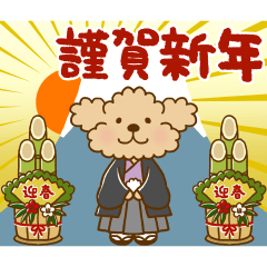 動け！トイプーのぷう太郎の年末年始