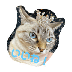 ぷりてぃ ありす