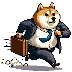 働く太っちょ柴犬