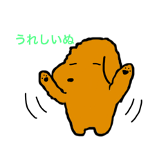 トイプードルのちょいぷー