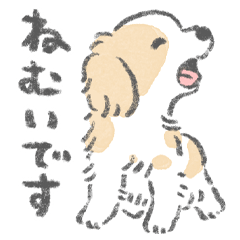 キャバリアがいるから頑張れる