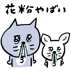 春はぽわぽわ灰色キャット