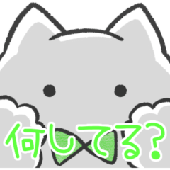 緑推しねこ(報告)